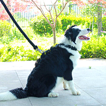 Hiking 7 untaian Parachute 550 ParaTali Tali 100 Ft 2